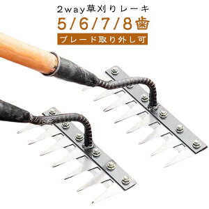 2way 背[L }K| K[f[L XeX 5/6/7/8{ 5/6/7/8 F  pr y  [L pr  G G G΍ 蓹 K[fjO  