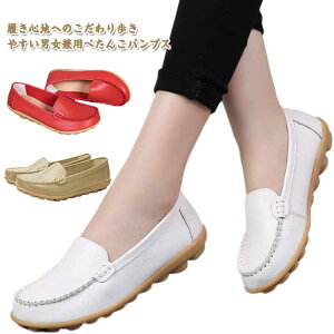 hCrOV[Y fB[X pvX [t@[ _炩 Y ₷ ₷ tbgV[Y 傫TCY V[Y r jp ₷C ؂ EȂ 