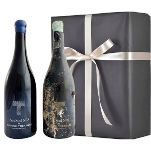 yMtgtzCnnn ݔ׃Zbg V[\ENo.8 DUET ԃC e750mlb{VpS[h{ Mtg{bNX v[gɍœK