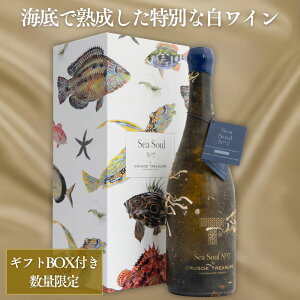 yMtgɂ߁zoXNCnC  N[\[EgW[ V[\ENo.7 OibVEu100 750ml tba/v[g/LO/j