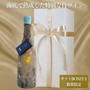 yMtgtzoXNCnC V[\EEio[7  OibVEu100 750mlb{VpS[h{ Mtg{bNX XyCYC v[g