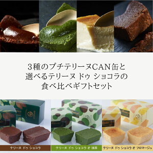 七五三 内祝い ハロウィン 2025 3種のプチテリーヌと選べるテリーヌドゥショコラ チョコ 抹茶 チーズケーキ テリーヌショコラ ガトーショコラ チョコレートケーキ チョコレート 洋菓子 お菓