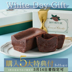ホワイトデー 購入特典あり 2026 テリーヌドゥショコラ テリーヌショコラ ガトーショコラ チョコレートケーキ チョコレート チョコ 洋菓子 お菓子 高級 ギフト おしゃれ お取り寄せ スイーツ プレゼント