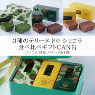 入学 母の日 祝い お返し 2026 テリーヌドゥショコラ3種食べ比べ チョコ 抹茶 チョコバナナ テリーヌショ…