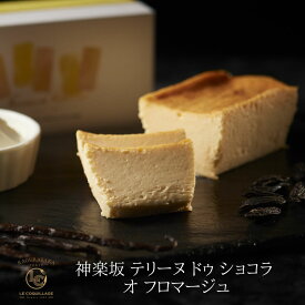 七五三 内祝い お歳暮 御歳暮 2025 テリーヌドゥショコラオフロマージュ チーズケーキ ホワイトチョコレート北海道生クリーム グルテンフリー 洋菓子 お菓子 高級 ギフト おしゃれ お取り寄せ スイーツ 誕生日プレゼント