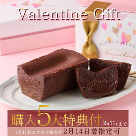 バレンタイン 5大特典付き 2026 テリーヌドゥショコラ テリーヌショコラ ガトーショコラ チョコレートケーキ チョコレート チョコ 洋菓子 お菓子 高級 ギフト おしゃれ お取り寄せ スイーツ プレゼント