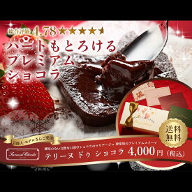 バレンタイン 2020 限定パッケージ チョコレート ギフト 神楽坂 テリーヌ ショコラ ガトーショコラ モンドセレクション最高金賞 送料無料 あす楽 高級 人気 プレゼント チョコレートケーキ 誕生日 内祝 出産 結婚 お返し お礼 お菓子 スイーツ おしゃれ お取り寄せ 手土産