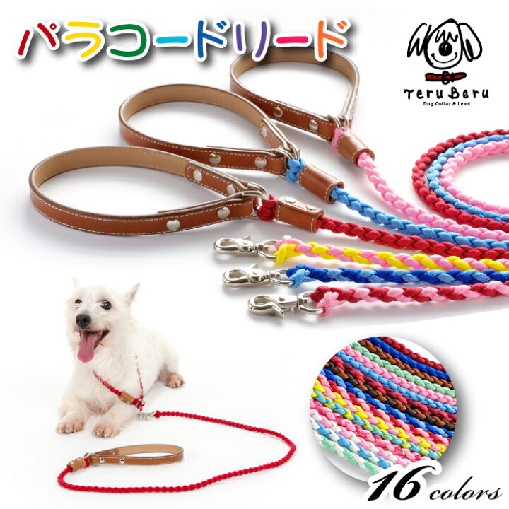 楽天市場 犬 リード メール便送料無料 おしゃれ 可愛い パラコード 中型犬 犬のリード 外れないリード 丈夫 小型犬 ナスカン外れ防止 犬用品 いぬ 日本製 首輪 レザー 皮 てるべる テルベル Pl 1 犬の首輪屋 てるべる 楽天市場 犬 リード メール便送料無料 おしゃれ 可愛い パラコード 中型犬 犬のリード 外れないリード 丈夫 小型犬 ナスカン外れ防止 犬用品 いぬ 日本製 首輪 レザー 皮 てるべる テルベル Pl 1 犬の首輪屋 てるべる