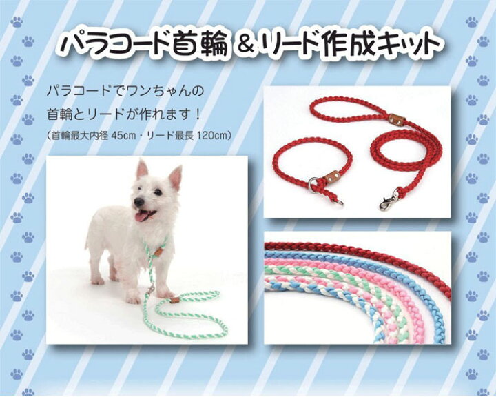 楽天市場 犬 首輪 犬首輪 犬の首輪 送料無料 おしゃれ かわいい ブランド 名入れ 迷子札 中型犬 小型犬 小型犬用 超小型犬 いぬ くびわ 革 レザー 皮 軽い 柴犬 チワワ トイプードル 犬用首輪 犬の首輪屋てるべる 赤 ピンク ブルー Pl 03 犬の首輪屋 てるべる
