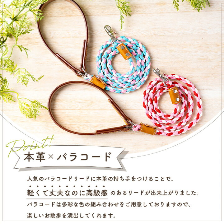 楽天市場】犬 リード メール便送料無料 おしゃれ 可愛い パラコード  