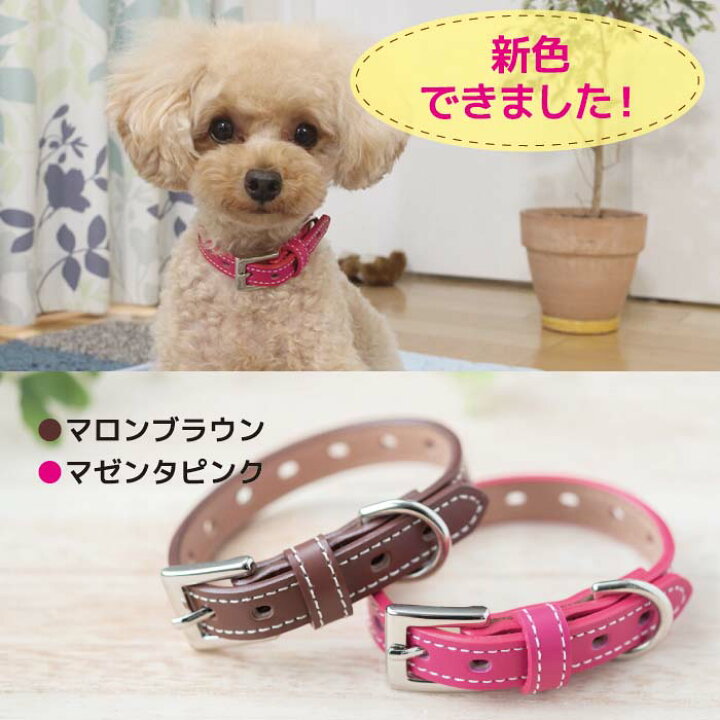 大人気の 犬 首輪 犬首輪 犬の首輪 おしゃれ かわいい ブランド 迷子札 中型犬 小型犬 小型犬用 超小型犬 いぬ くびわ 革 レザー 皮 軽い 柴犬 チワワ Otm2 Hx Discoversvg Com 大人気の 犬 首輪 犬首輪 犬の首輪 おしゃれ かわいい ブランド 迷子札 中型犬 小型犬 小型犬用 超小型犬 いぬ くびわ 革 レザー 皮 軽い 柴犬 チワワ Otm2 Hx Discoversvg Com