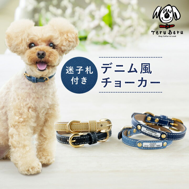 楽天市場】犬 猫 首輪 迷子札チョーカー おしゃれ かわいい 犬首輪 猫 
