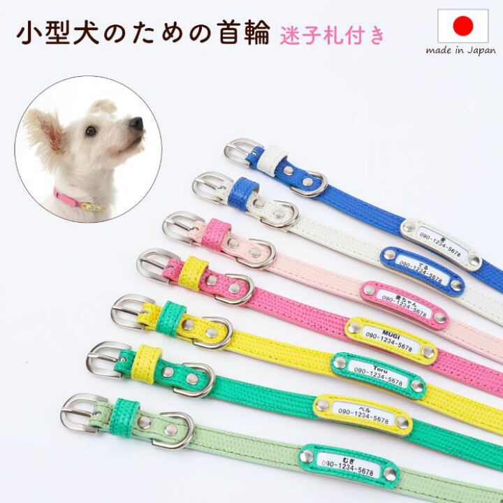楽天市場】犬 首輪 犬首輪 犬の首輪 送料無料 おしゃれ かわいい 