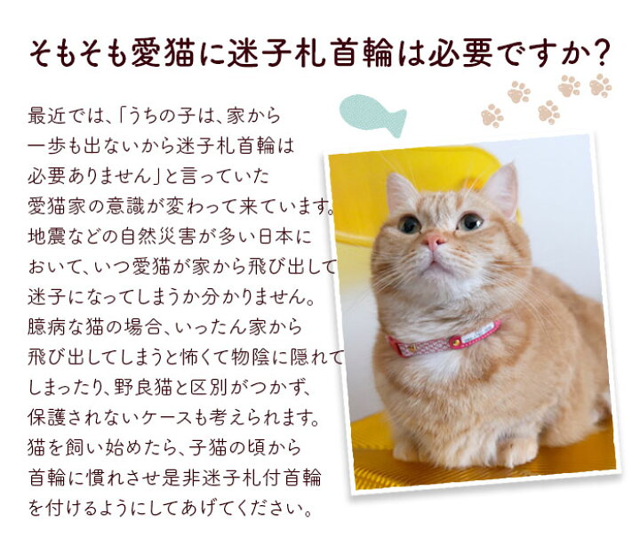 楽天市場 猫 首輪 猫首輪 迷子札 セーフティ バックル 鈴 安全 おしゃれ かわいい 超軽量 名入れ 名前入 ネームタグ 迷子札付猫首輪 ねこ ネコ 猫用首輪 くびわ 軽い 革 皮 レザー 鈴付き 赤 送料無料 犬の首輪屋てるべる Maigo 7 犬の首輪屋 てるべる