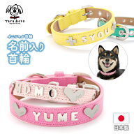 犬 首輪 犬首輪 犬の首輪 送料無料 おしゃれ かわいい ブランド 名入れ 迷子札 中型犬 いぬ くびわ 革 レ…