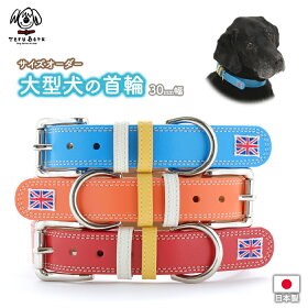 ããããã§ããããæ¬é©ã®å¤§åç¬é¦è¼ª