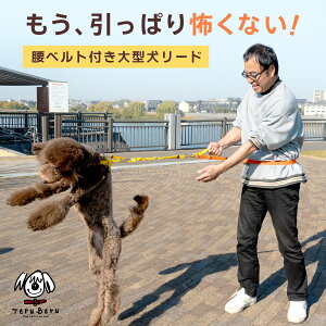 _[tBbg fAT|[g[h xg h~  ]|h~ ۔h~ _u[h  [h  ^[h  U ^  v y^z