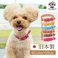 犬 首輪 犬首輪 犬の首輪 おしゃれ かわいい ブランド 名入れ 迷子札 中型犬 小型犬 小型犬用 超小型犬 …
