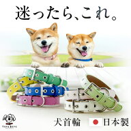 犬 首輪 犬首輪 犬の首輪 おしゃれ かわいい ブランド 名入れ 迷子札 中型犬 いぬ くびわ 革 レザー 皮 …