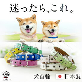 犬 首輪 犬首輪 犬の首輪 おしゃれ かわいい ブランド 名入れ 迷子札 中型犬 いぬ くびわ 革 レザー 皮 軽い 柴犬 犬用首輪 OTM-2
