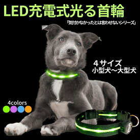 犬 首輪 おしゃれ 光る led 充電式 ライト 首飾り 小型犬 中型犬 大型犬 送料無料 メール便 即日発送 ペット ペットグッズ ライト付き 夜間 安全対策 TERUI Lights