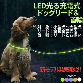 リード 犬 光る 首輪 セット 充電式 ライト 1.2m 小型犬 中型犬 大型犬 全長両面光る ペット用品 ライト付き 夜間 安全対策 送料無料 メール便 即日発送 人気 おススメ TERUI Lights