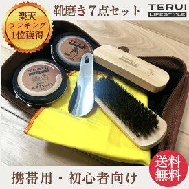 靴磨きセット シューケアセット シューケア用品 革靴手入れ 初心者用 送料無料 あす楽 お手入れ シューケアボックス 携帯用 コンパクト 革靴磨き メンズ 男性用 プレゼント ギフト 入学 就職 退職 異動 父の日 TERUI Lifestyle