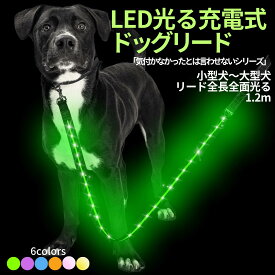 犬 リード led 光る 充電式 ライト ドッグリード 1.2m 小型犬 中型犬 大型犬 送料無料 メール便 即日発送 ペット用品 全長全面ライト付き 夜間 安全対策 単色カラー TERUI Lights