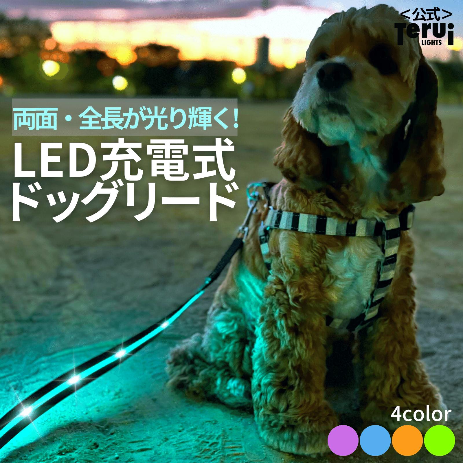 楽天市場】犬 リード 光る led 充電式 ライト ドッグリード 1.2m 小型