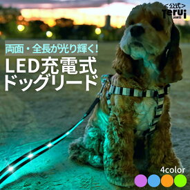 犬 リード 光る led 充電式 ライト ドッグリード 1.2m 小型犬 中型犬 大型犬 送料無料 メール便 即日発送 ペット用品 全長全面ライト付き 夜間 安全対策 単色カラー TERUI Lights