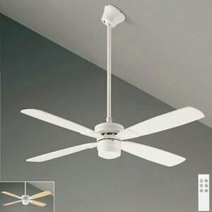[o] V[Ot@ YCF-014W6SS DAIKO CF TYPE Ha1200mm@݉pCv600mm t@{pCv Ȃ@zCg pCv݉ XΓV VΉ