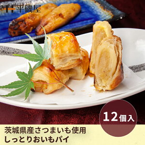_ 鉮 pC ^ XC[c Mtg mَq XC[cy Ƃ pC 12 z錧 Tc}C g͂邩      XC[c   