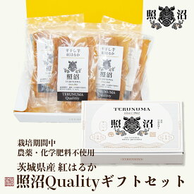 ＼ 照沼Quality ギフトセット干し芋 紅はるか 100g×4袋 ／ 照沼 送料無料 茨城 無添加 干しいも プレゼント ダイエット 低GI ギフト ほしいも 自宅用 贈答用 お土産 スイーツ 高級品 腸活 食物繊維 健康 栄養 お中元