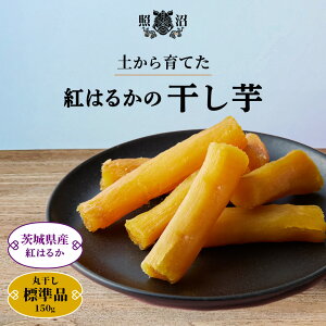 _  ۊ ƏQUALITY ^ 600g  錧Y g͂邩 Y Y Yi Ƃ ˂Ƃ ق _CGbg GI p yY yY   XC[c aَq 