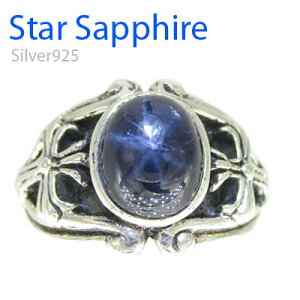  Silver925 Vo[ O X^[ Tt@CA N-101(傫TCY / 11-0317)