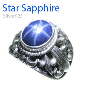  Silver925 Vo[ O X^[ Tt@CA N-302(傫TCY / 11-0318 )