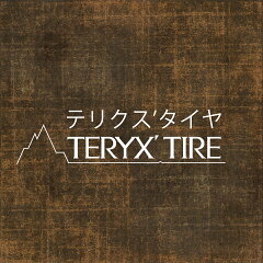 テリクスタイヤ