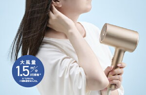 �h���C���[ ���� �啗�� ���邨�� �c�� �e�X�R�� �����X �w�A�h���C���[ �S�[���h ���C�X�`���[�C�I��TM TDX300A-N/E �w�A�h���C���[