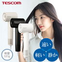 【1,000円クーポン有】ドライヤー 速乾 テスコム 公式 マイナスイオン TD760A 軽い 軽量 デザイン 時短 早い 静か 低騒音 ブラシレス DC モーター BLDC 温冷自動切替 I字型 コンパクト 小さい 1年保証 パワフル マイナスイオンドライヤー スリム LED TESCOM
