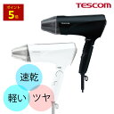 ＼全品P5倍★エントリー必須／ テスコム 公式 大風量 ドライヤー TID2400B TEC-HD2400-K プロテクトイオン マイナスイオンドライヤー 速乾 ツヤ 艶 1年保証 1300W TESCOM 軽い 黒 ブラック 白 ホワイト ヘアドライヤー 時短 早く乾く 大風圧