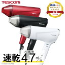 【1,000円クーポン有】 金賞受賞！ テスコム 公式ドライヤー 速乾 大風量 ツヤ 艶 プロテクトイオン TD570A 大風圧 ハイパワー 1300W 軽量 軽い マイナスイオン ヘアードライヤー ヘアケア 風量 スピーダム TESCOM 人気 ブラック 黒 ホワイト 白