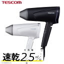 【2,000円クーポン有】 プロテクトイオン ヘアドライヤー TD670A テスコム プロテクトイオン ドライヤー 1年保証 大風圧 速乾 大風量 ヘアードライヤー ホワイト ブラック TESCOM 時短 ツヤ 艶 マイナスイオン ヘアケア 公式 人気 おすすめ 軽量化