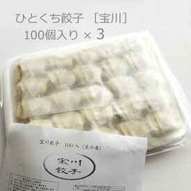手作り餃子 手包み 一口餃子 生餃子（冷凍） 100ヶ入り×3（300個）■宝川
