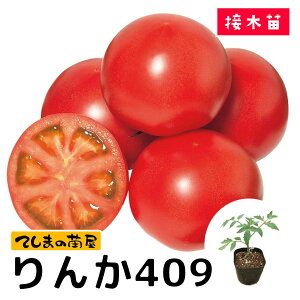 yĂ܂̕cz ʃg}gc 409 fږؕc 9cm|bg ylCz