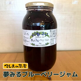 【地域物産】 夢みるブルーベリージャム 1kg 木之内農園