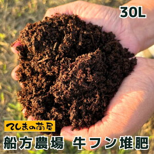 yz y30bgz vIXXb͔쎩ЂŋƂ납Ă܂BD_ꋍt͔K[fjOEƒ؉b͔@kCA͕ʓr