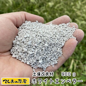 yyǍށz zCgGy[ 900g s @yzy[֑Ήz