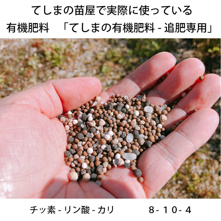 楽天市場 てしまの有機肥料 追肥専用 野菜 花全般に使える有機肥料 900g 代引き不可 元肥に 緩効性チッ素 苦土入り トマト ナス ピーマン スイカ メロン キュウリ ゴーヤ トウガラシ ブロッコリー キャベツ カリフラワー てしまの苗屋 楽天市場店