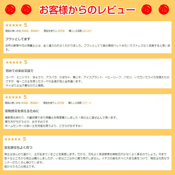 楽天市場 てしまの土 リットル 10リットル 2体セット 超培土 お客様の声から生まれたl 女性にも優しい重さ農家さんと同じ土で育てようガーデニング 家庭菜園向け培土 野菜 花 土 てしまの苗屋 楽天市場店