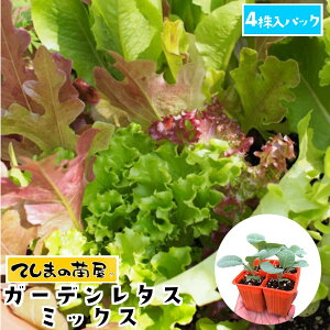 �y�Ă��܂̕c�z �x�r�[���[�t�c �K�[�f�����^�X�~�b�N�X 4������p�b�N �t�ؕc �y�l�C�z